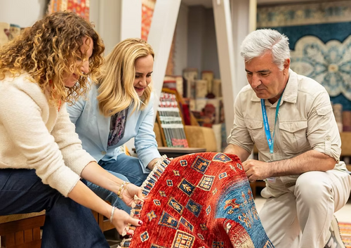 Rug Shopping Tour with Expert