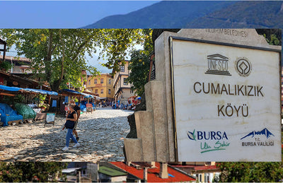 Bursa Day Tour from Istanbul